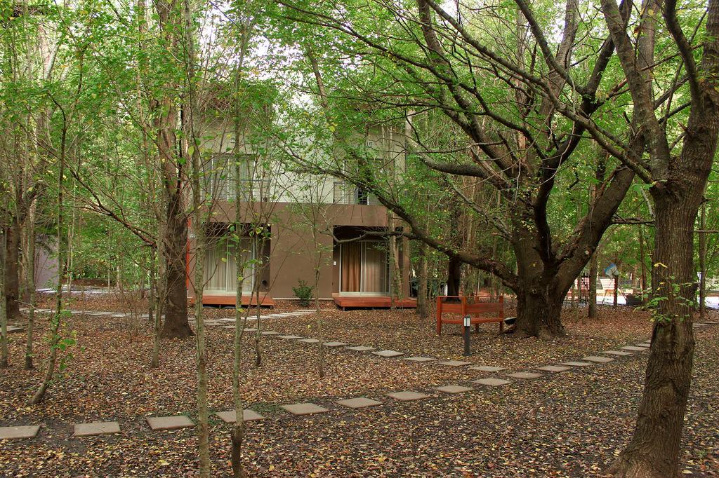 Complejo Aires Del Bosque Διαμέρισμα Chascomús Εξωτερικό φωτογραφία